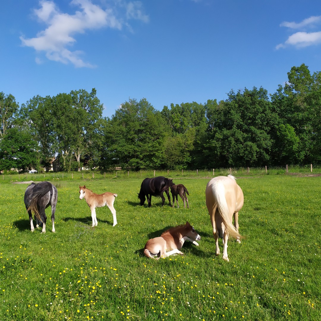 Illustration de l’exploitation GITES DES BARRES