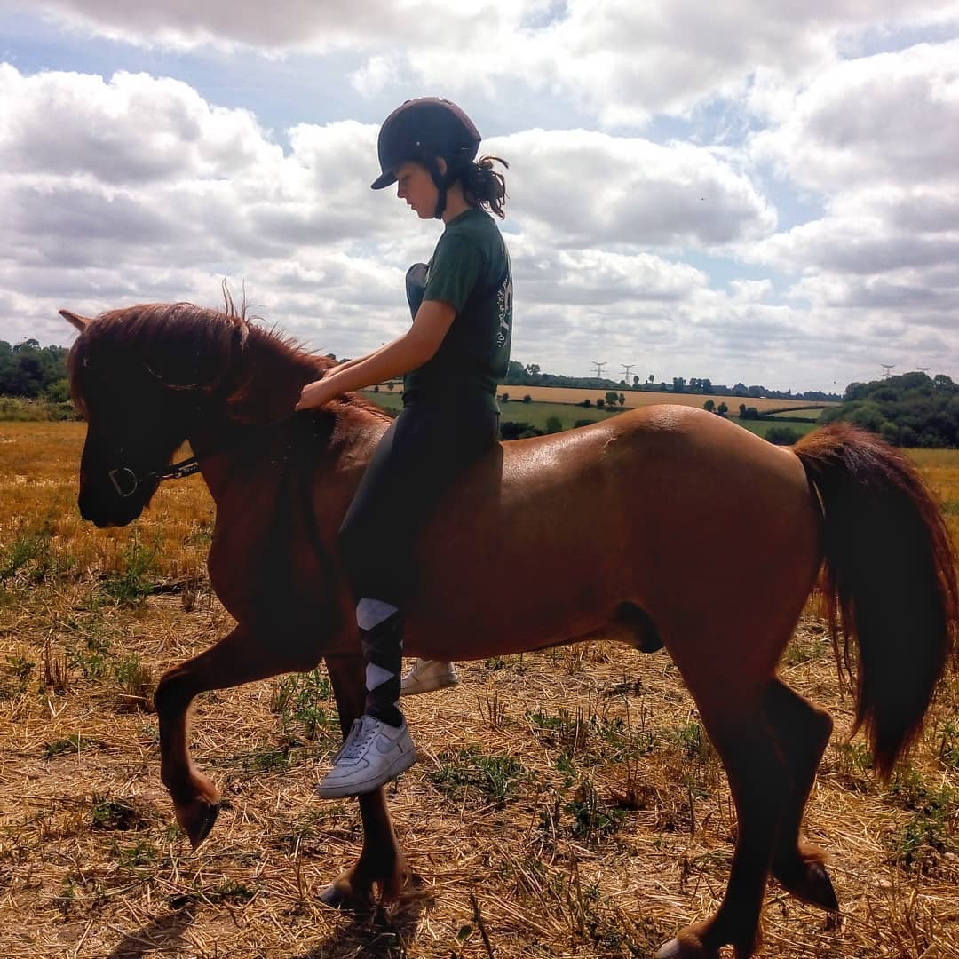 Photo de Balade à cru à cheval Islandais