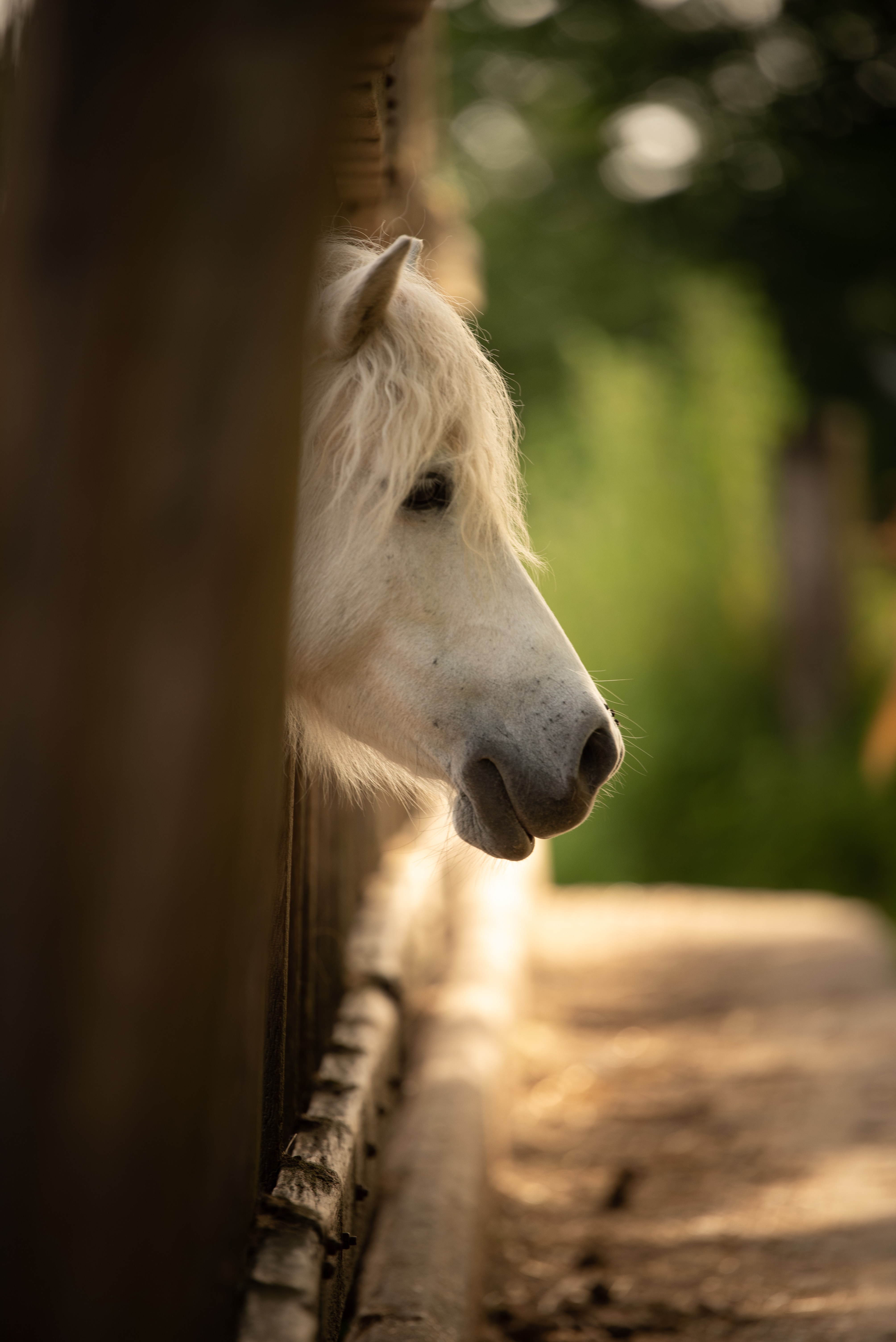 Illustration de l’expérience Journée Porte Ouverte