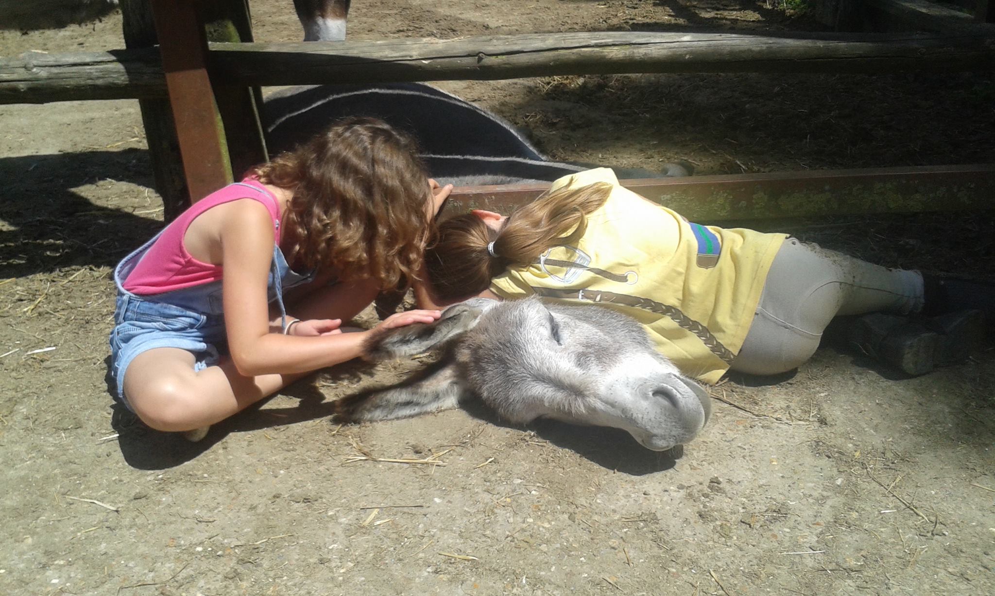 Photo de Journée Porte Ouverte