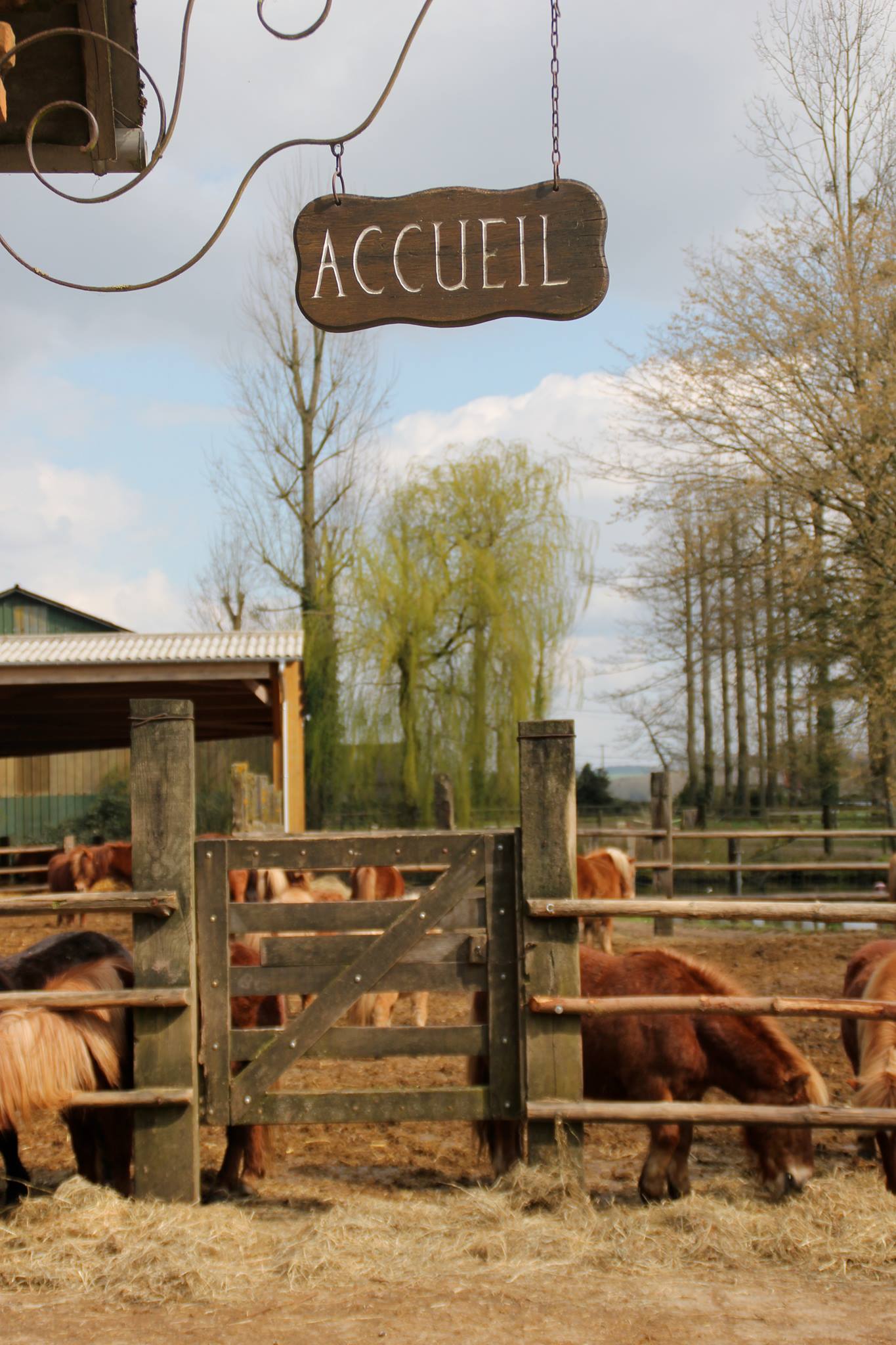 Photo de Journée Porte Ouverte
