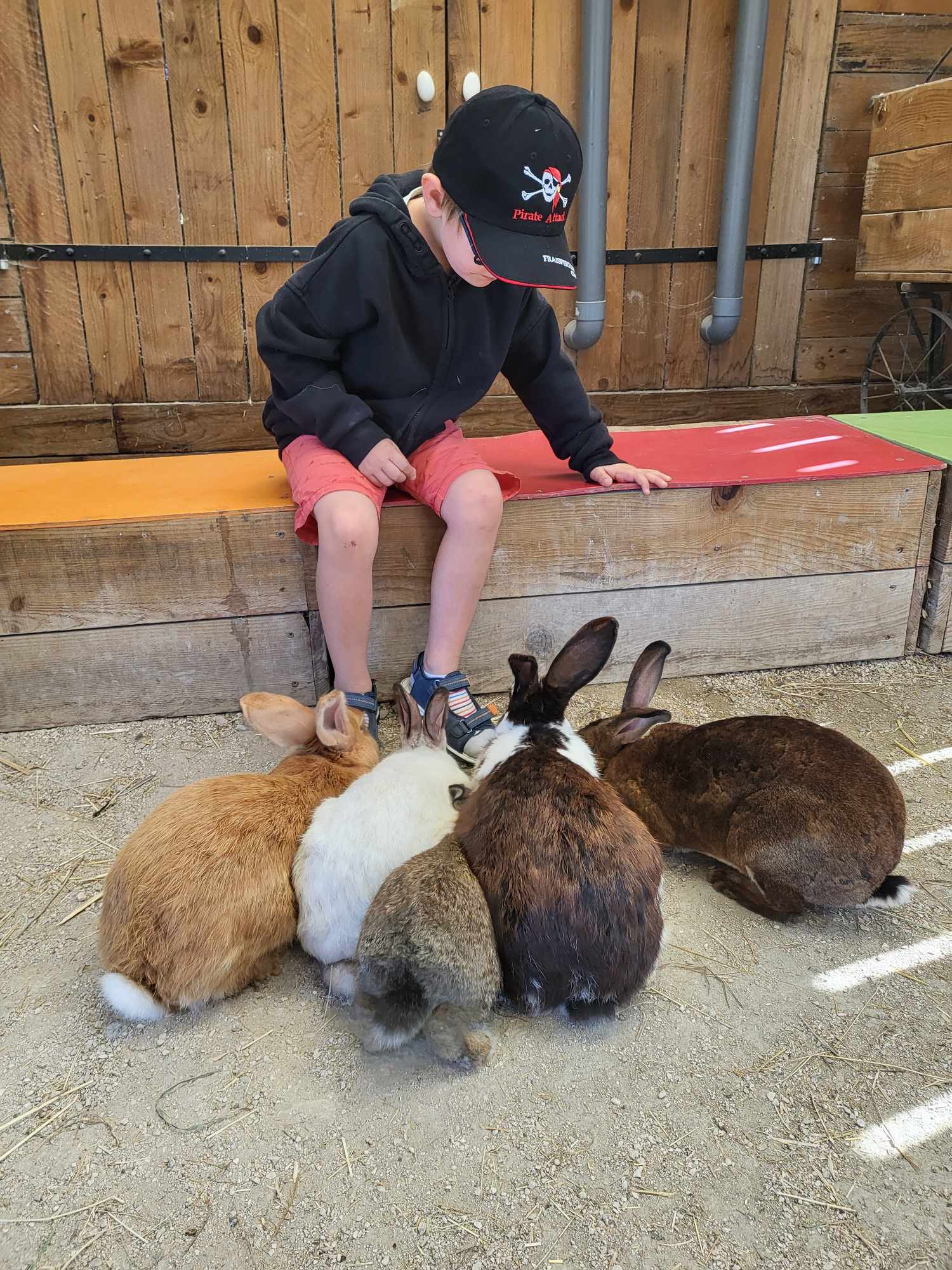 Illustration de l’expérience visite