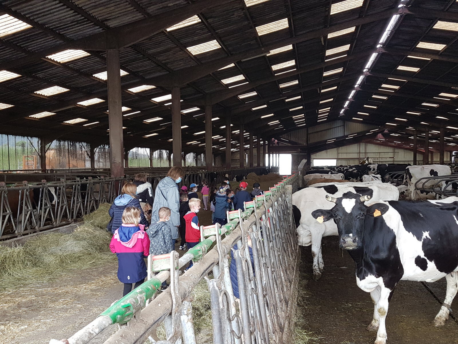 Photo de matiné à la ferme