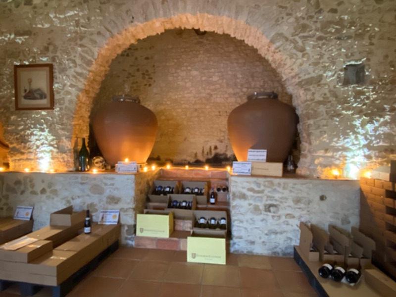 Illustration de l’expérience Caveau de dégustation et de vente de vin bio