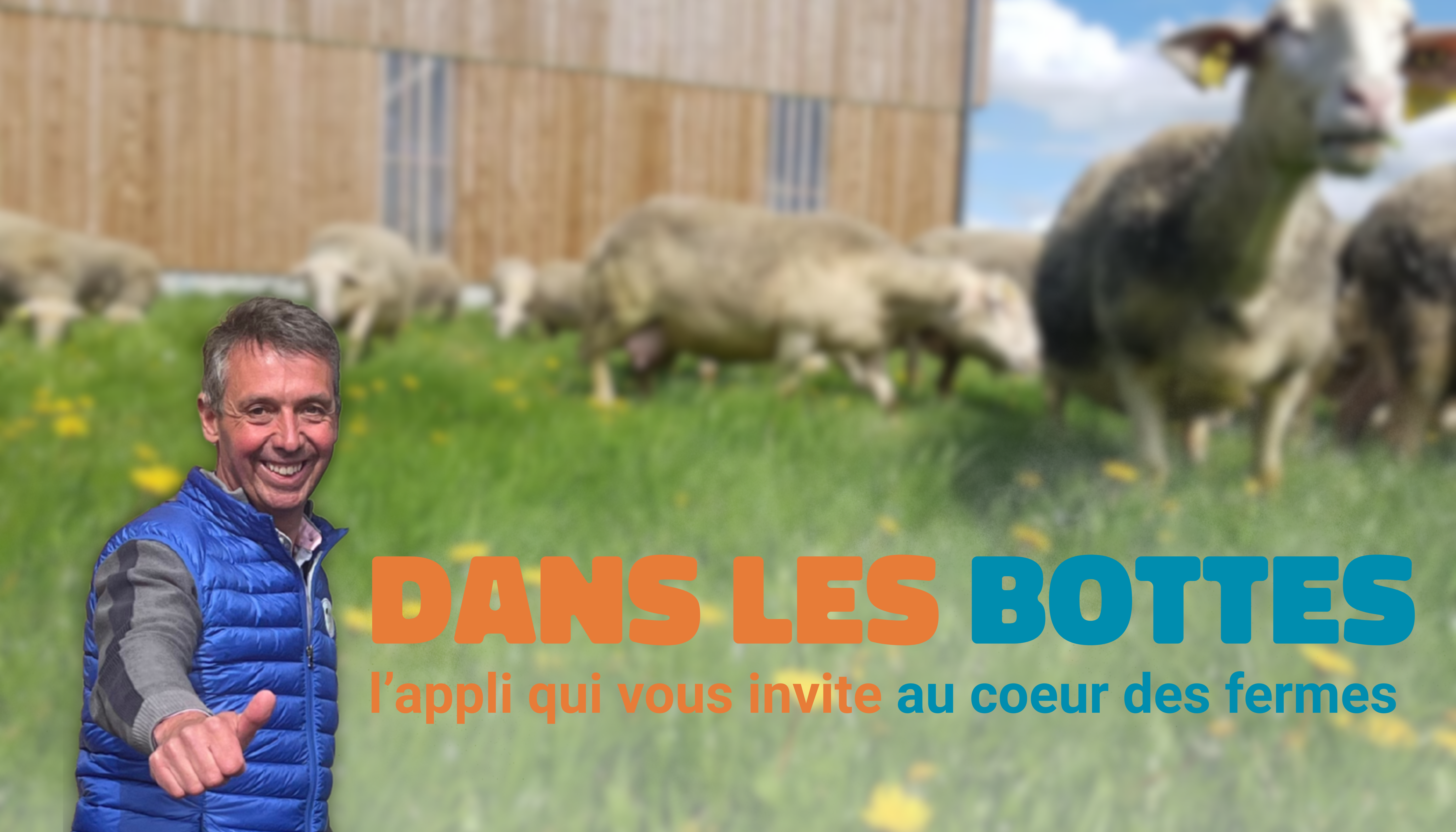 Photo de patate land