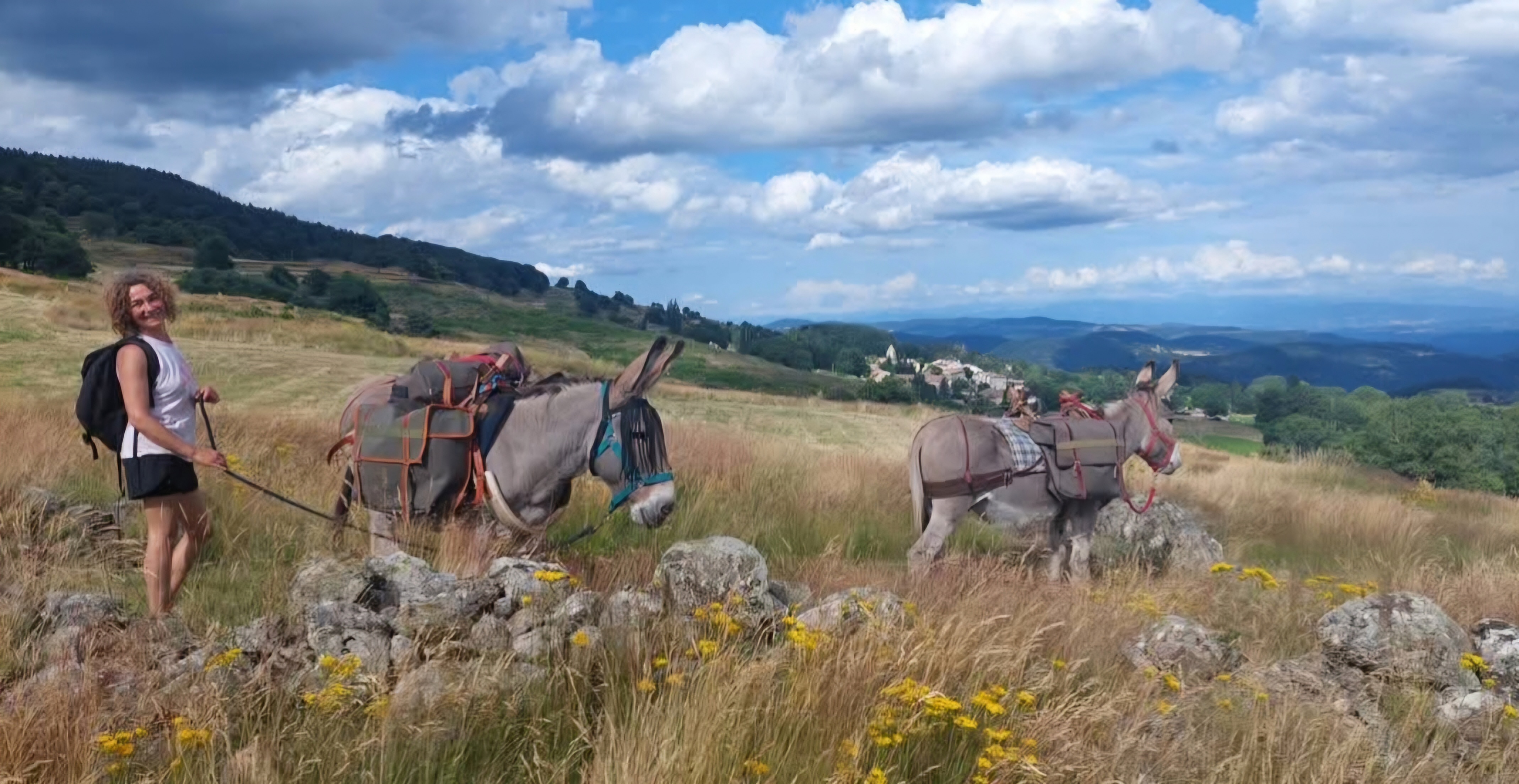 Illustration de l’exploitation LES ESCAPADES D’ARTÉMIS