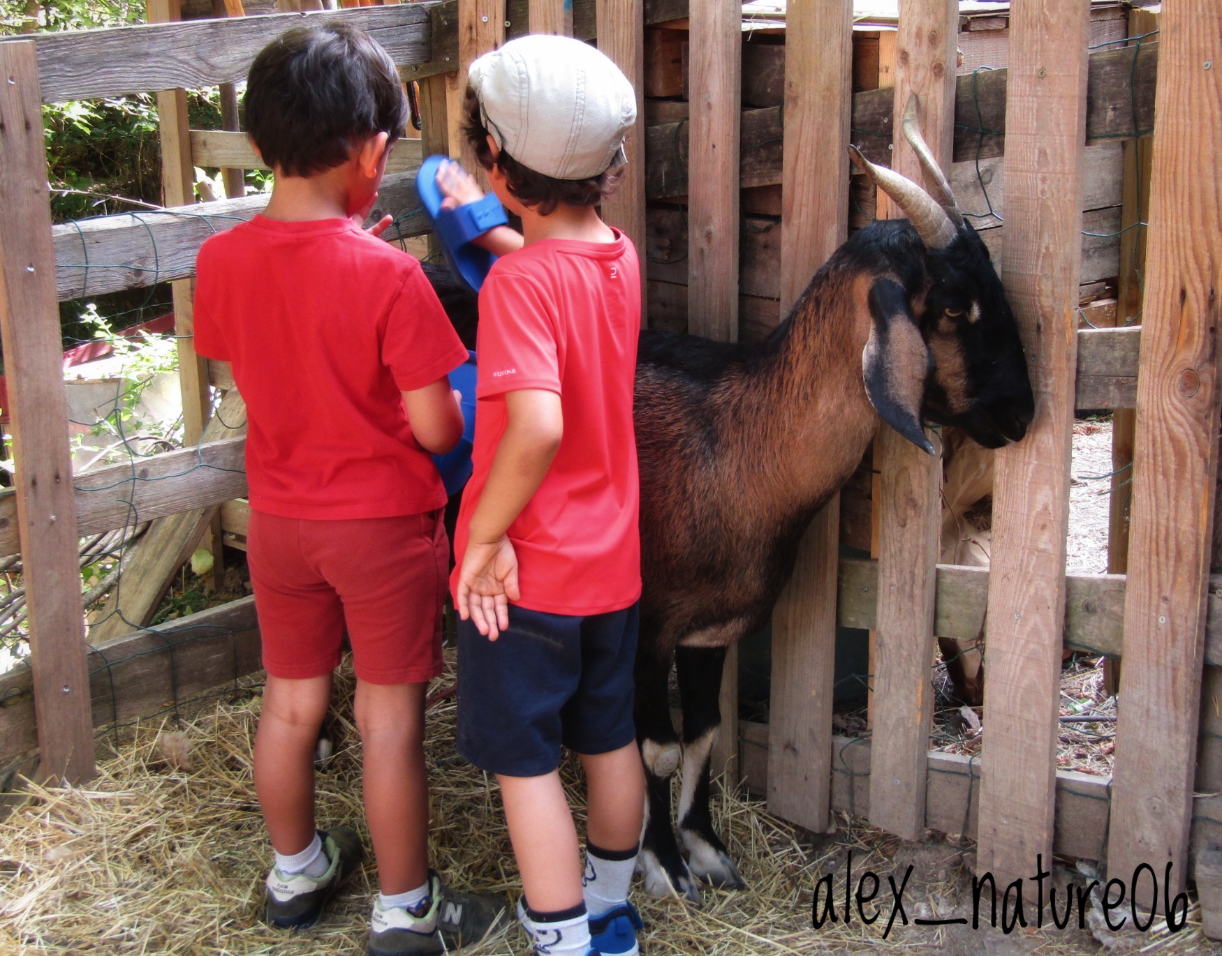 Illustration de l’exploitation Graines de fermiers