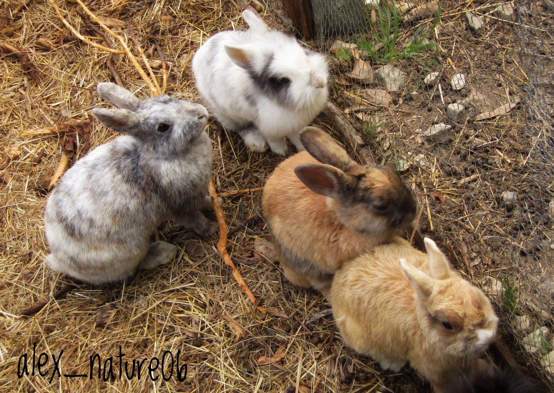 Photo de Graines de fermiers