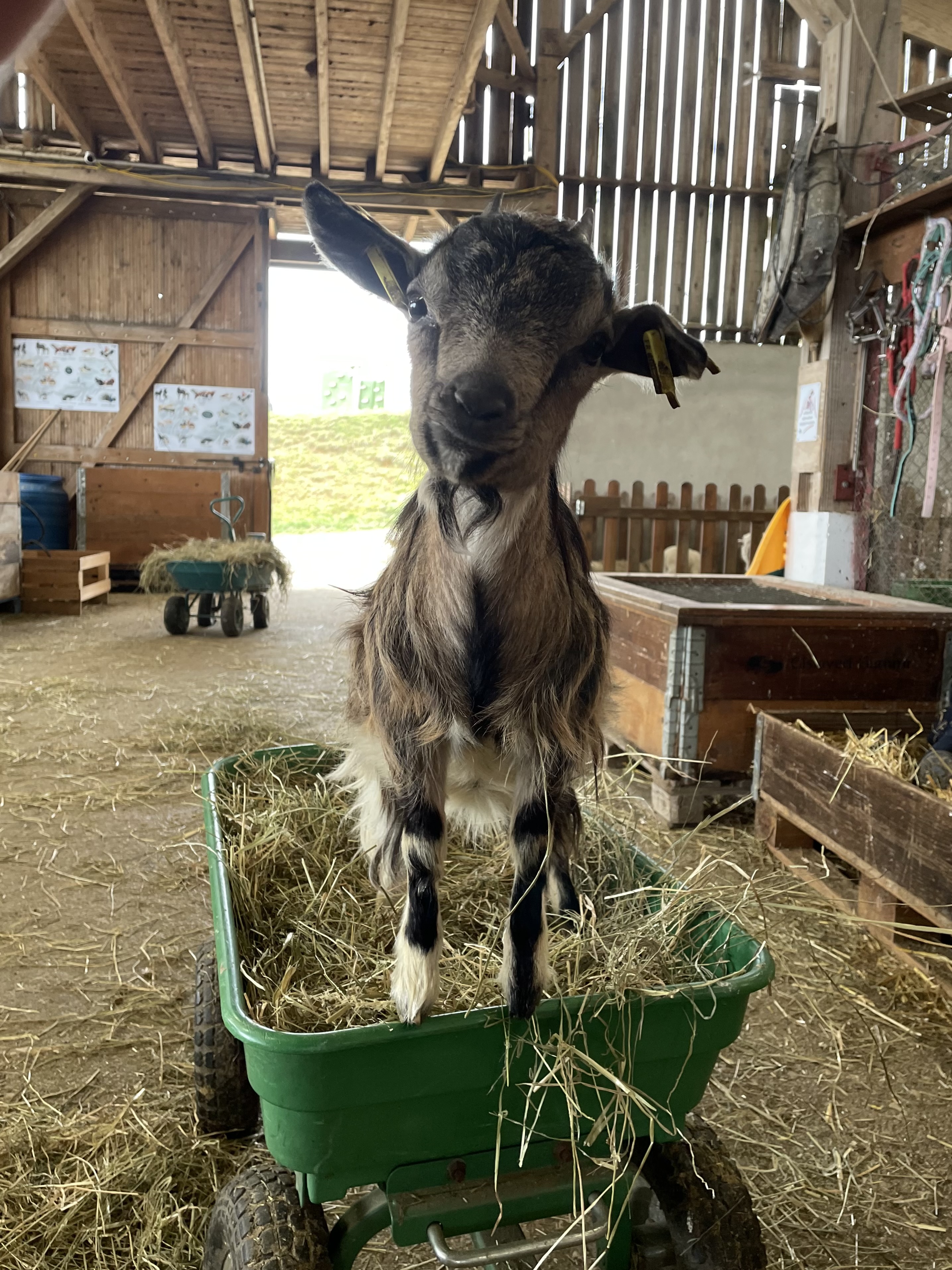 Photo de La Ferme de Woimbey 