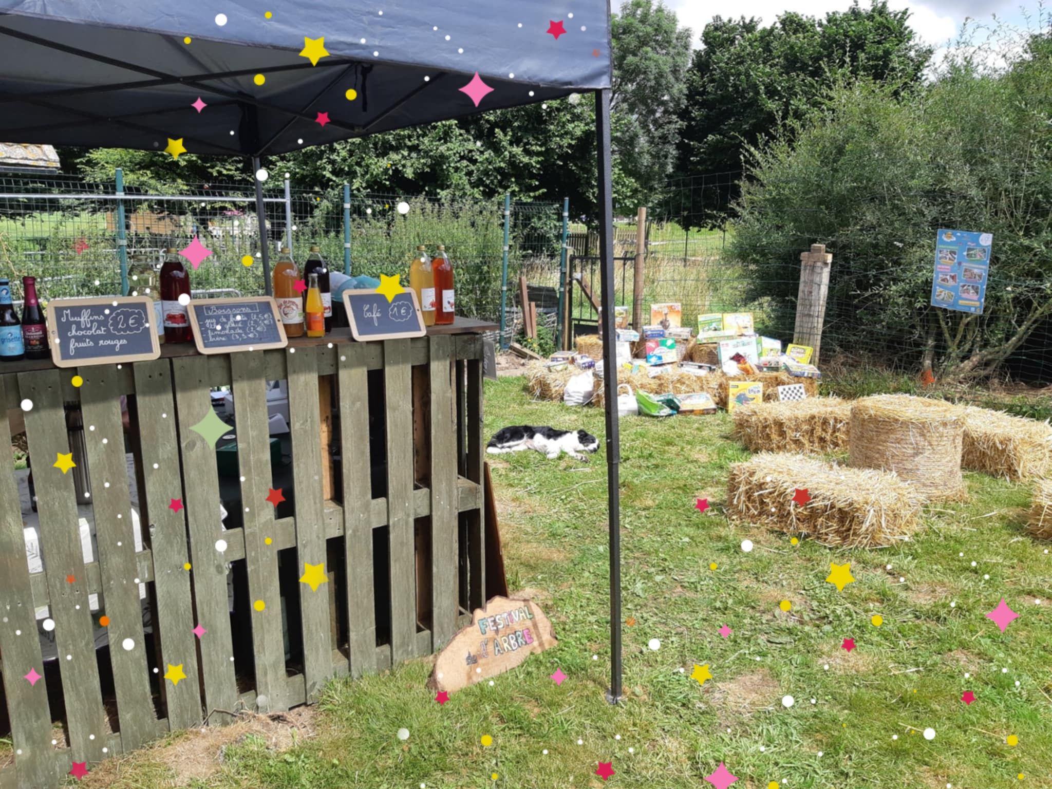 Photo de La Ferme des Loups
