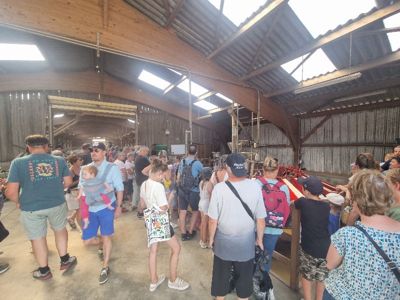 Illustration de l’expérience Traire les chèvres 