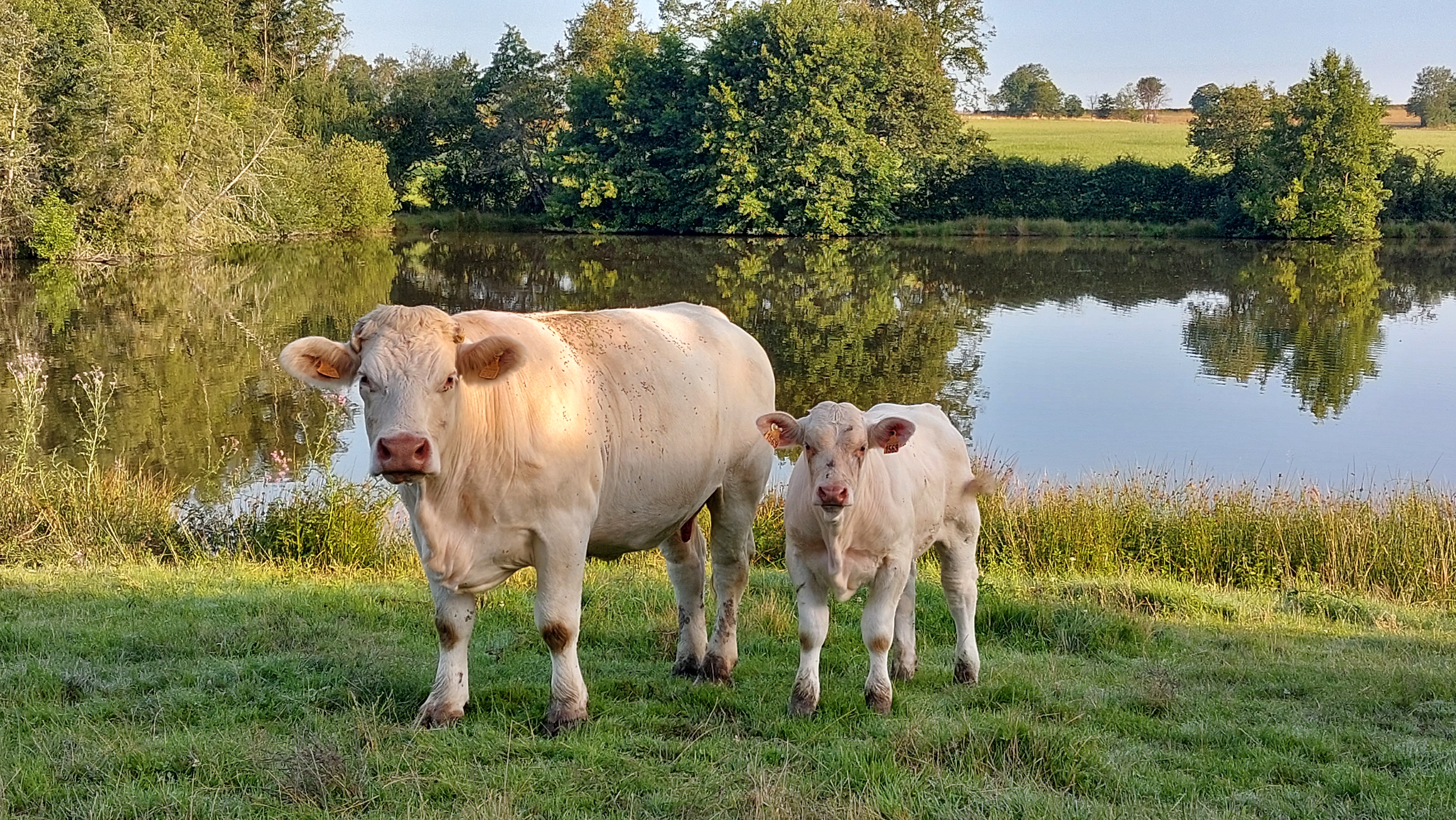 Photo de Un p'tit coin de paradis