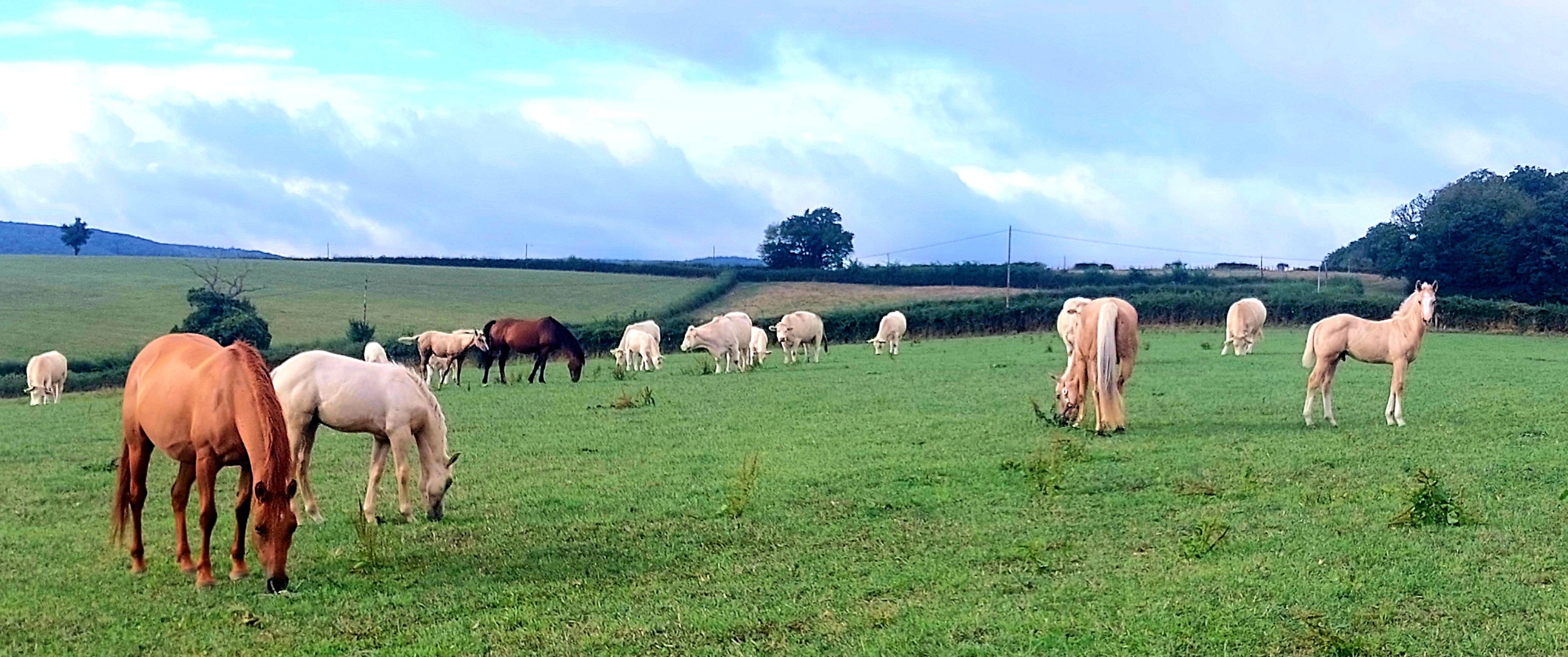 Illustration de l’exploitation Un p'tit coin de paradis