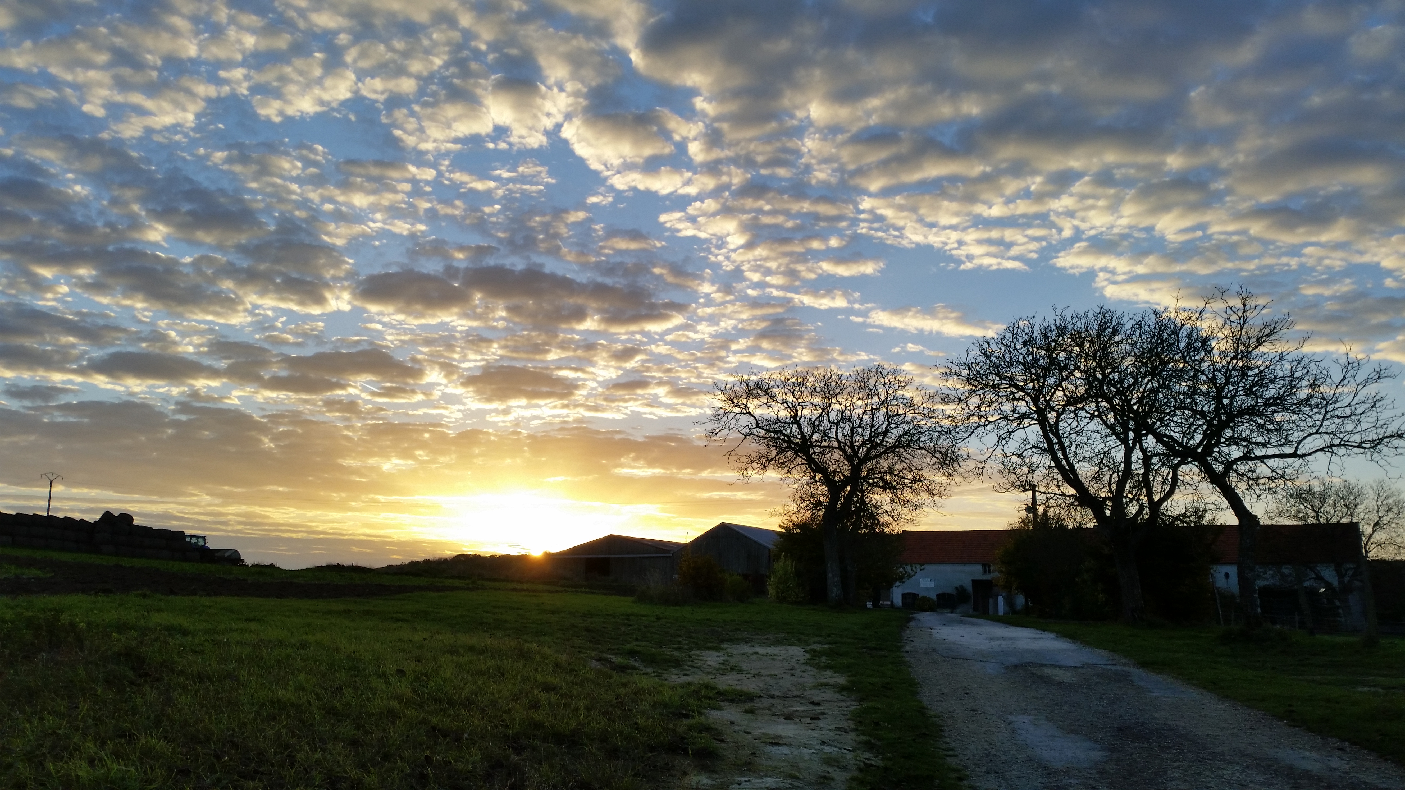 Illustration de l’exploitation Ferme de la Genevroye