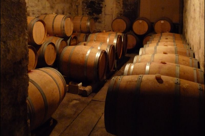 Photo de Balade vigneronne