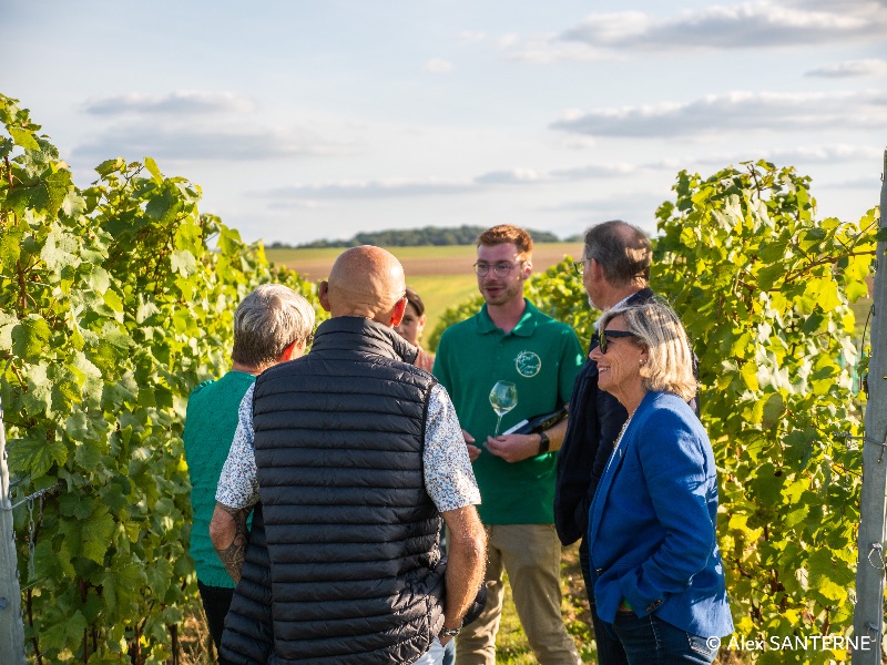 Illustration de l’expérience Découverte du vignoble Haut Escaut