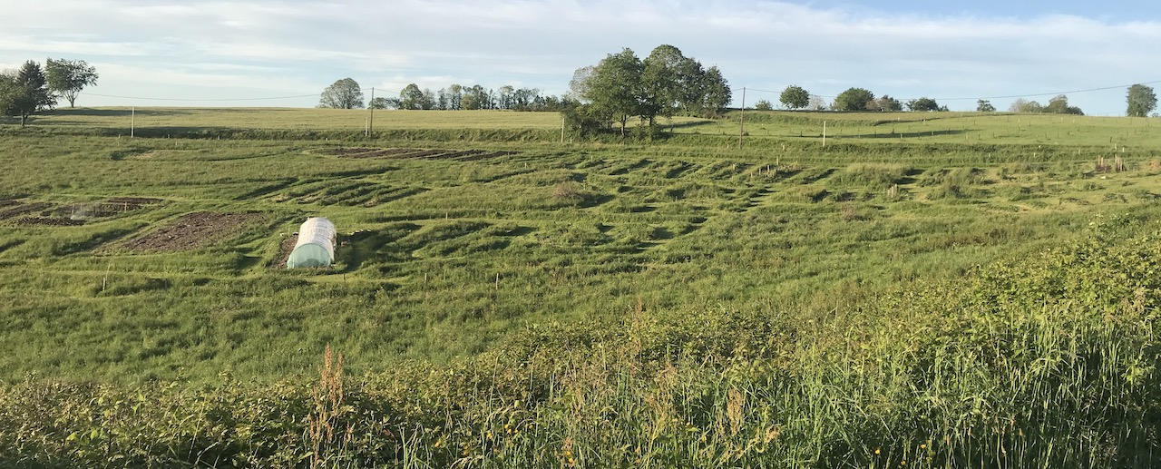 Illustration de l’exploitation ferme sinsac