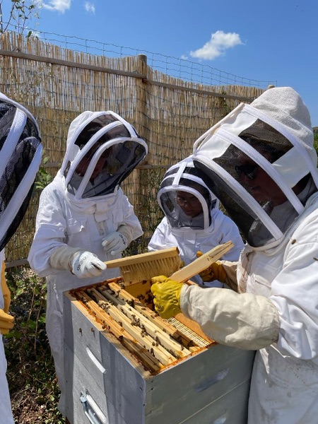 Photo de Baptême d’apiculture - Adultes