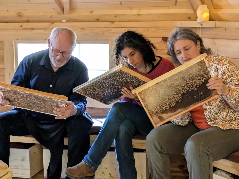 Illustration de l’expérience Teambuilding Mielifique 