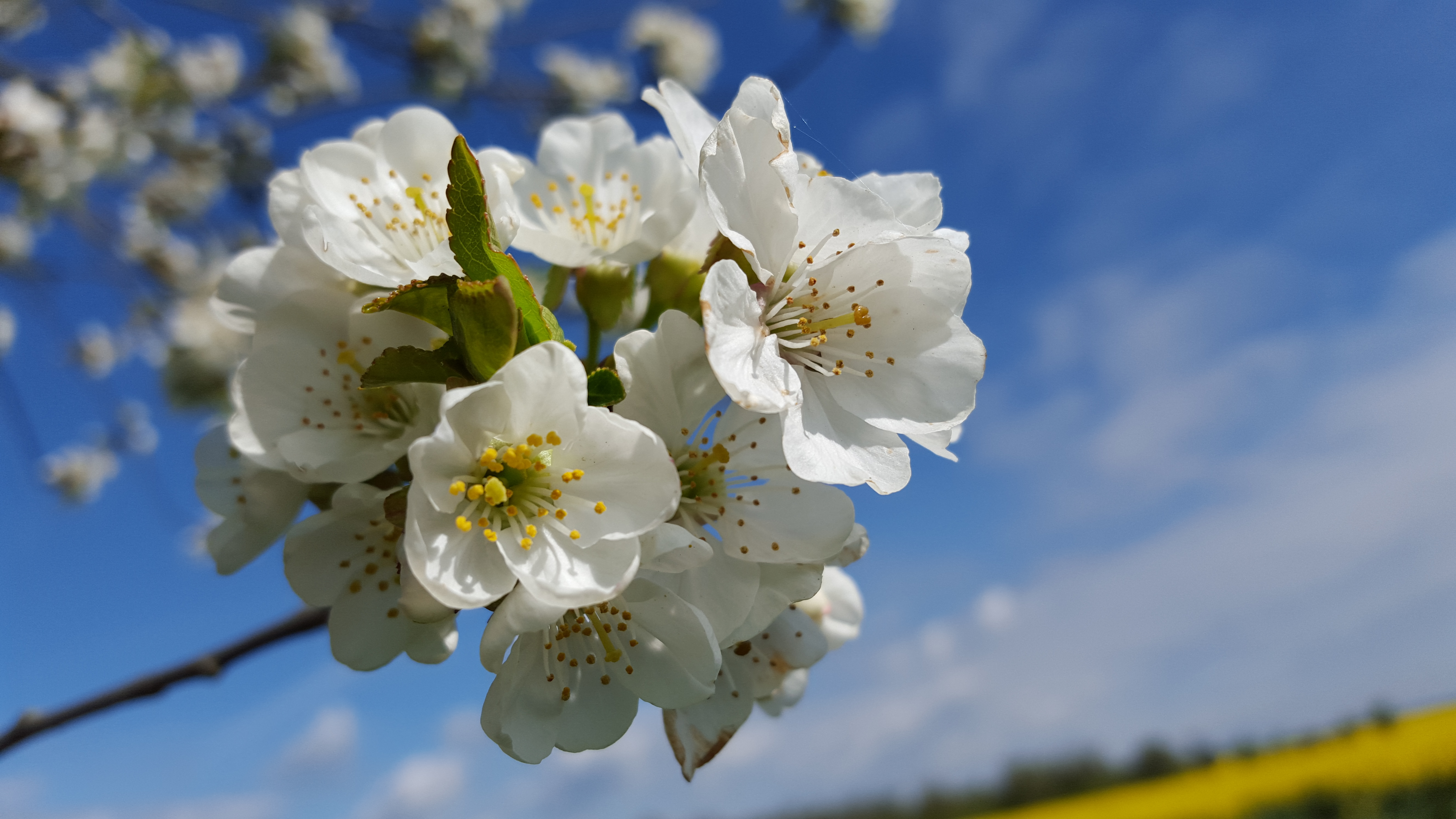 Photo de Domaine de la Goulotte