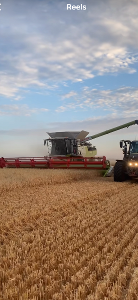 Illustration de l’expérience Agriculture céréalière 