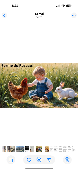 Illustration de l’expérience  Visite à la ferme 