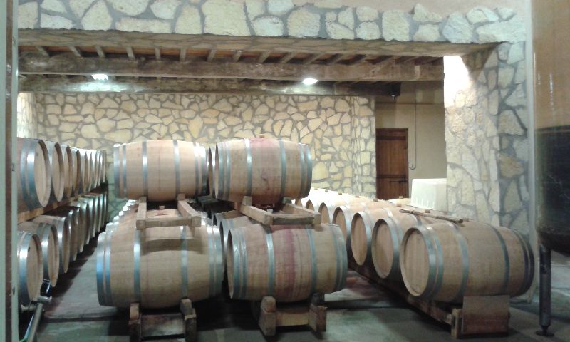 Photo de DEGUSTATION ET VISITE DES CHAI