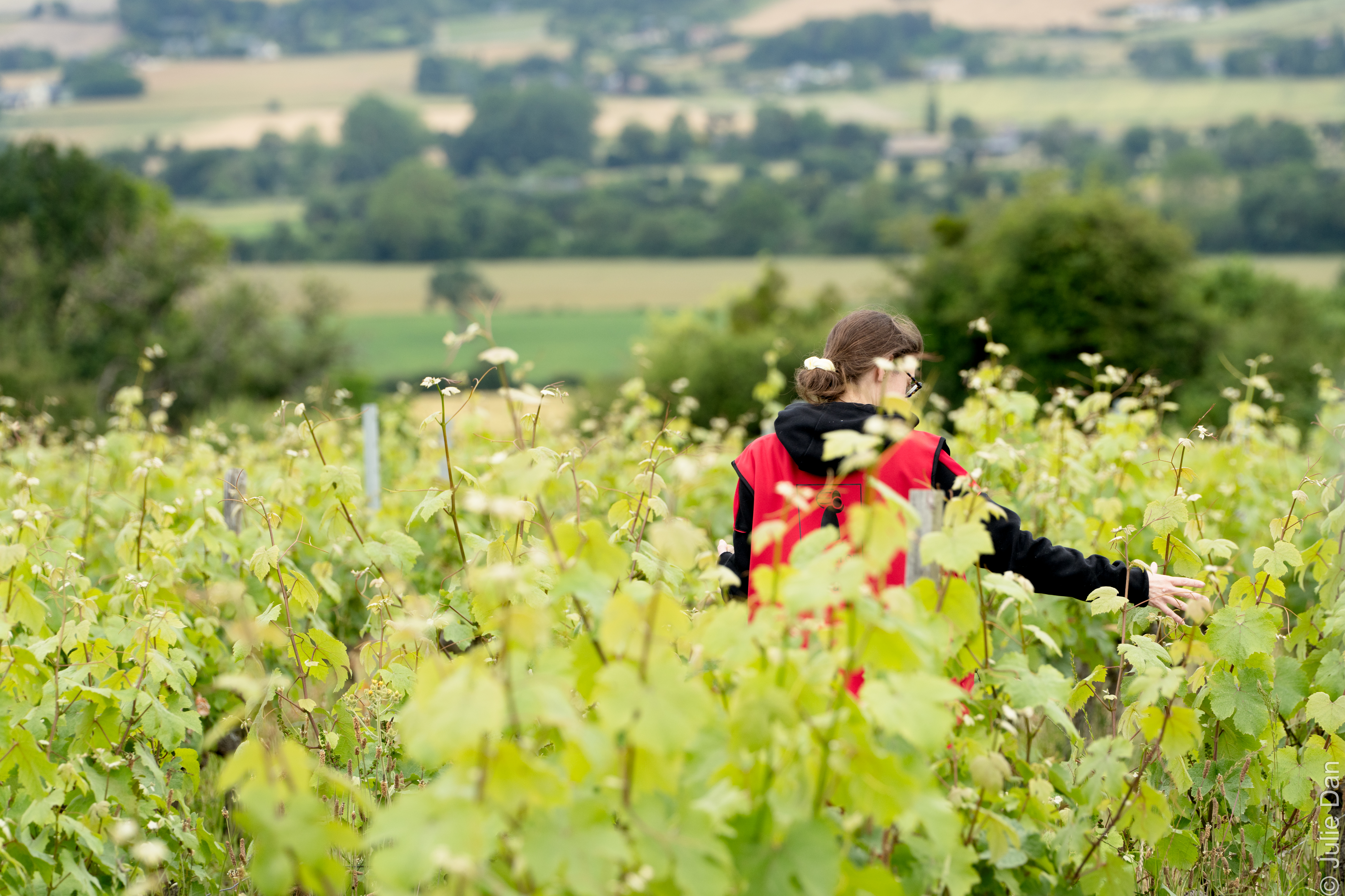 Photo de Domaine de Cézin