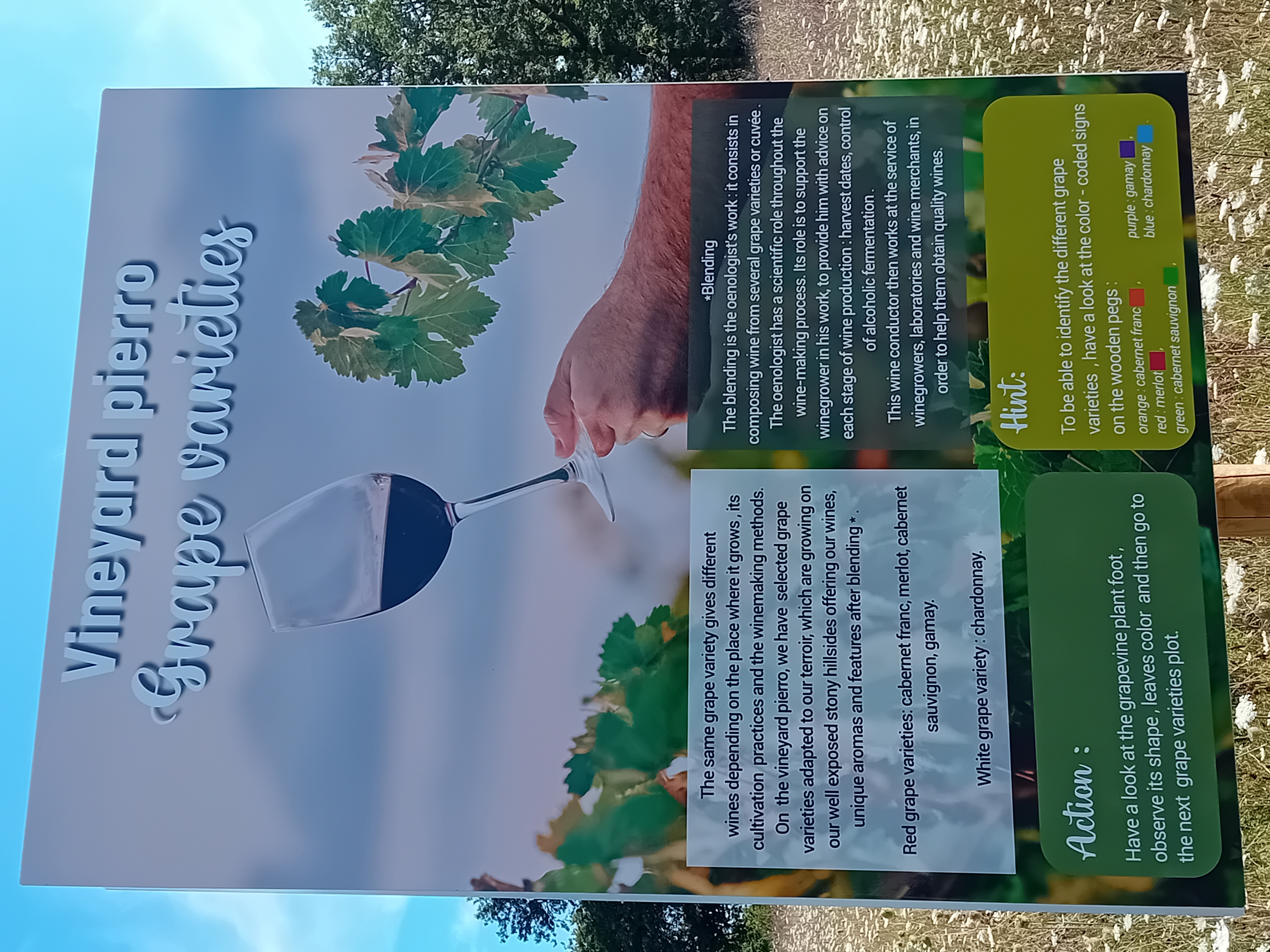 Photo de VIGNOBLE PIERRO - Carine et Philippe Sagaz