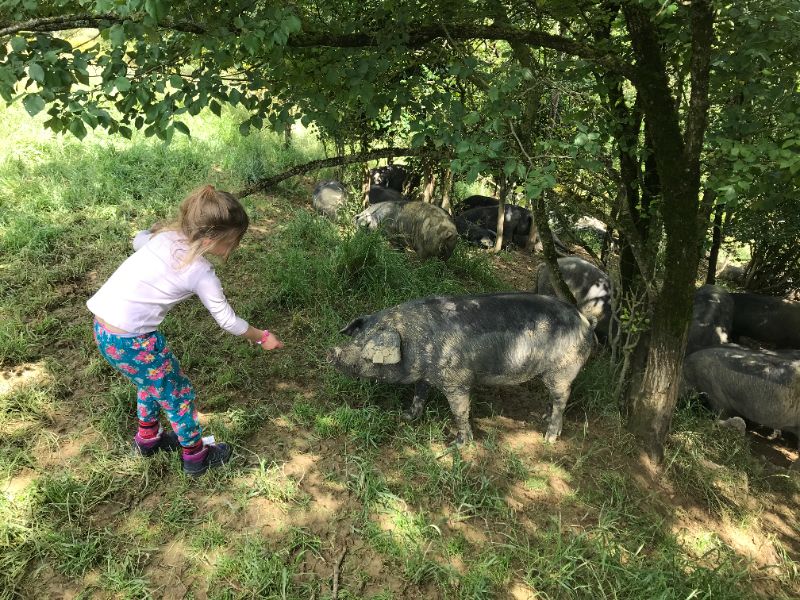 Devenez éleveur d'un jour