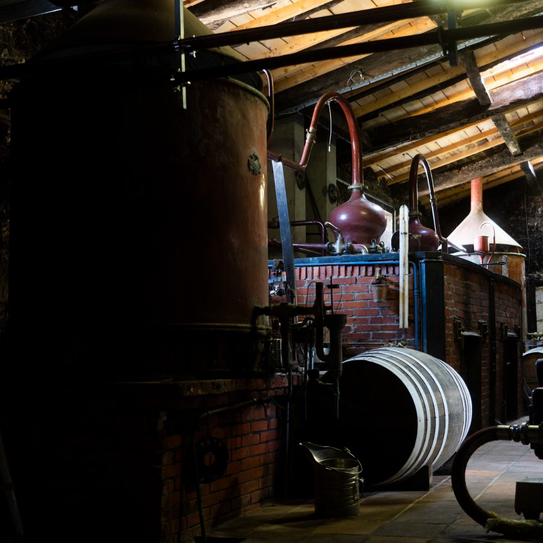 Photo de CHÂTEAU DES PLASSONS