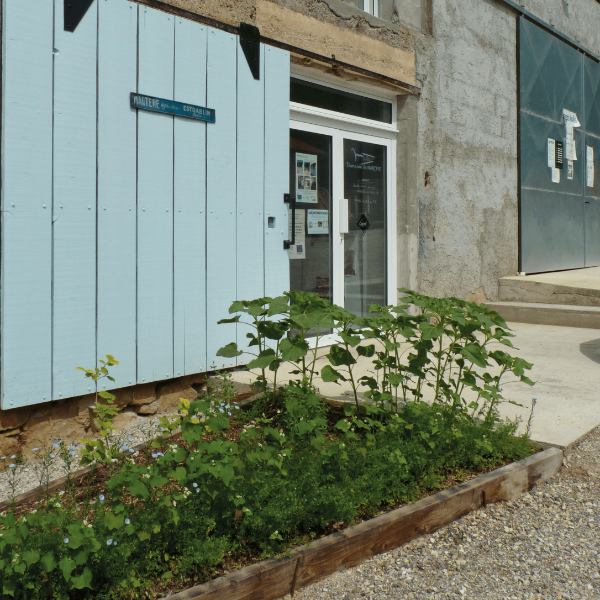 Farines, pâtes, crozets, sans gluten, lentilles, petit épeautre, huile bio