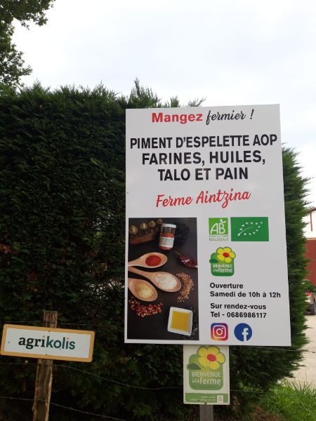 Ferme Aintzina 