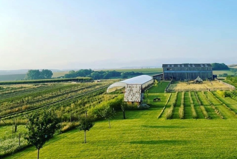 Tisanes, liqueurs, visites