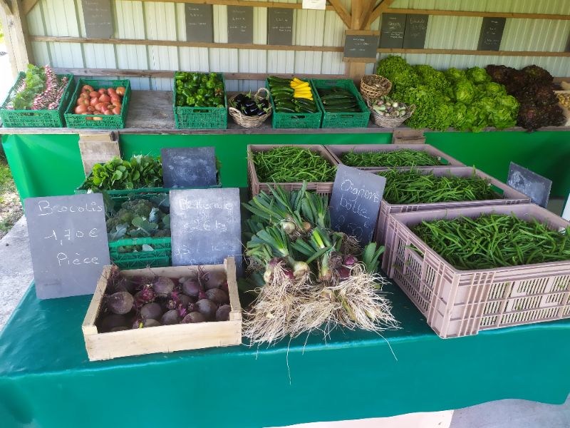 Ferme bio avec carottes de créances et plus encore