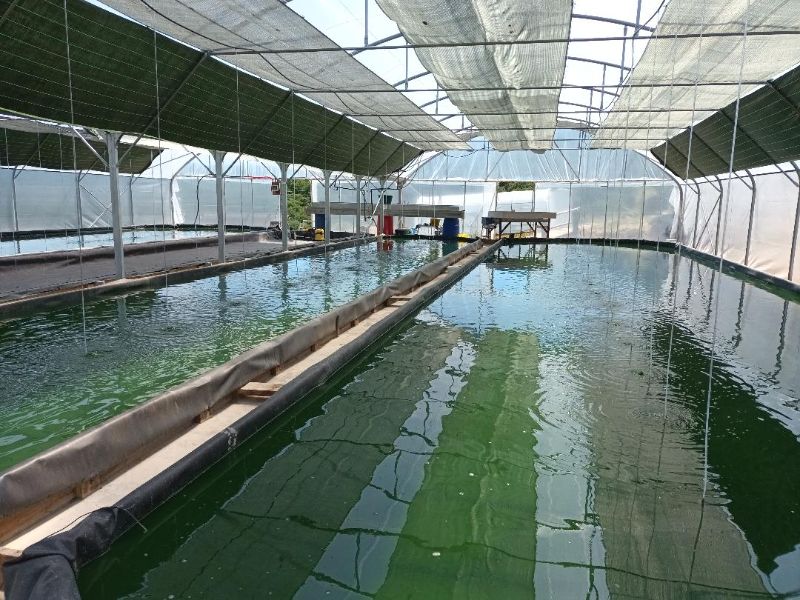 Visite de l'exploitation