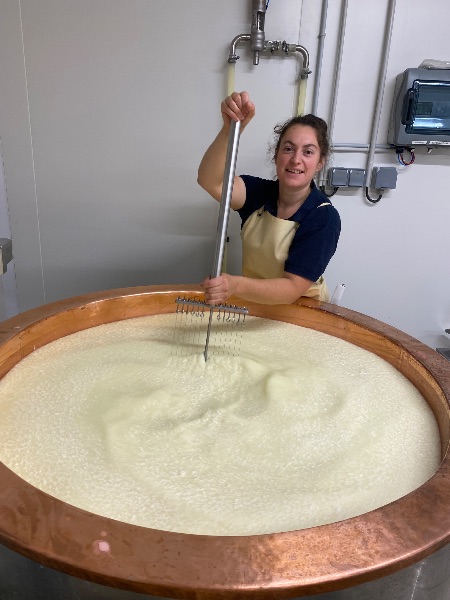 Vente à la ferme - fromage raclette, tomme, yaourt, faisselle, crème fraiche..