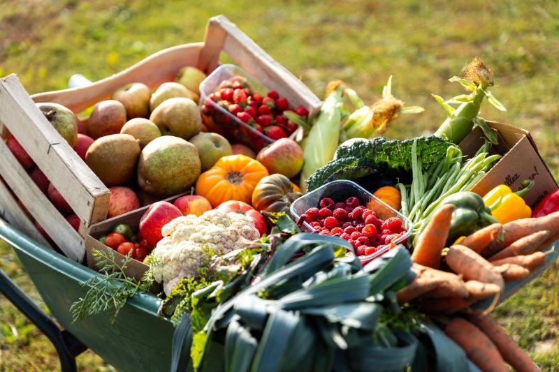 VENEZ CUEILLIR VOS FRUITS, LEGUMES ET FLEURS