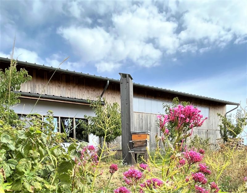 visite de la miellerie