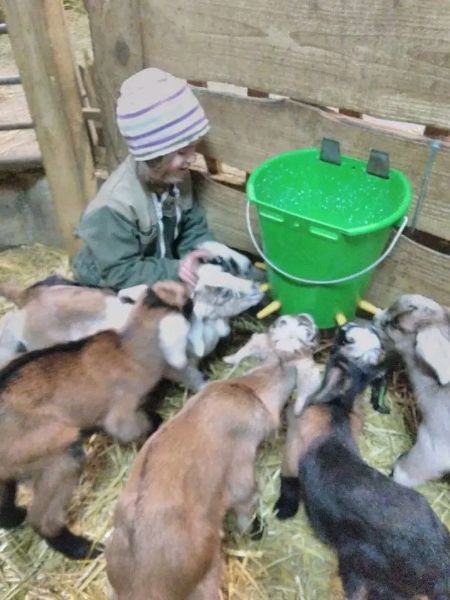 Découverte de la Ferme