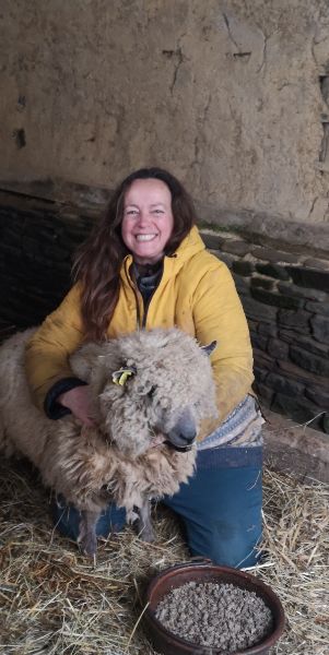 Découverte de la laine des races patrimoniales normandes 