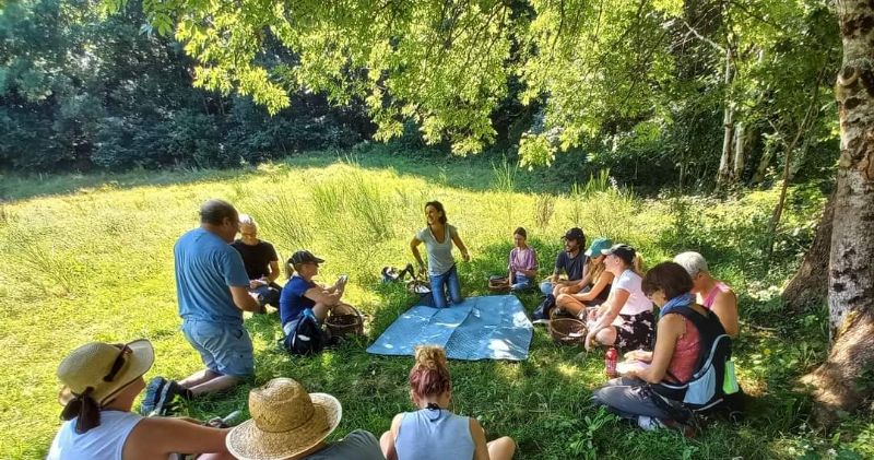 Usages des plantes sauvages 