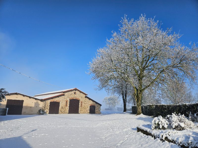 Vignoble Épiard 🍇