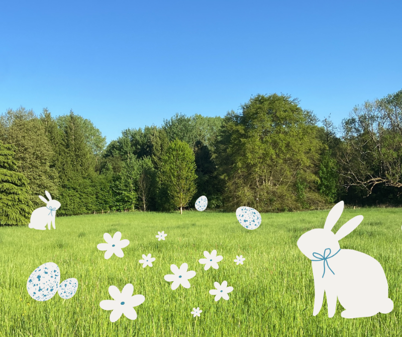 Grande Chasse aux oeufs dans la nature