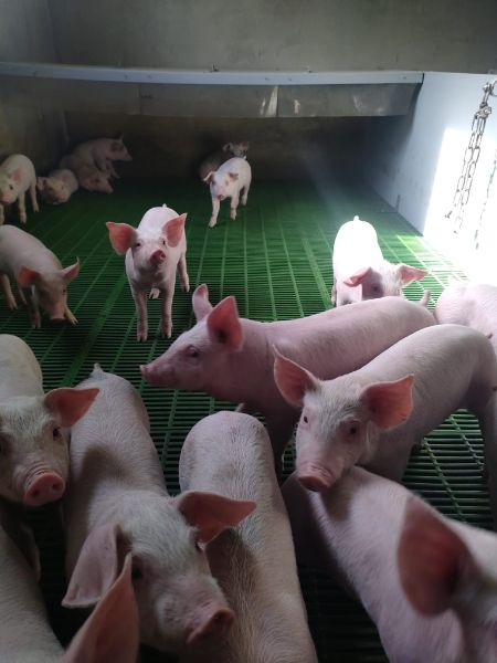 Photo de Tous à la ferme !