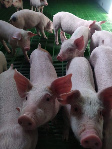 Photo de Tous à la ferme !